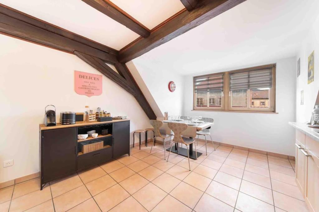 Les Lionceaux, 120M2 A Colmar, Place De Parking Gratuite Exterior photo